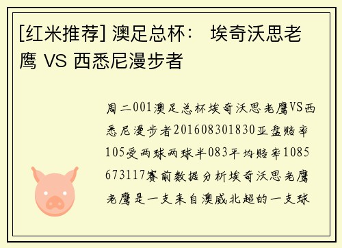 [红米推荐] 澳足总杯： 埃奇沃思老鹰 VS 西悉尼漫步者