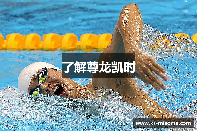 了解尊龙凯时
